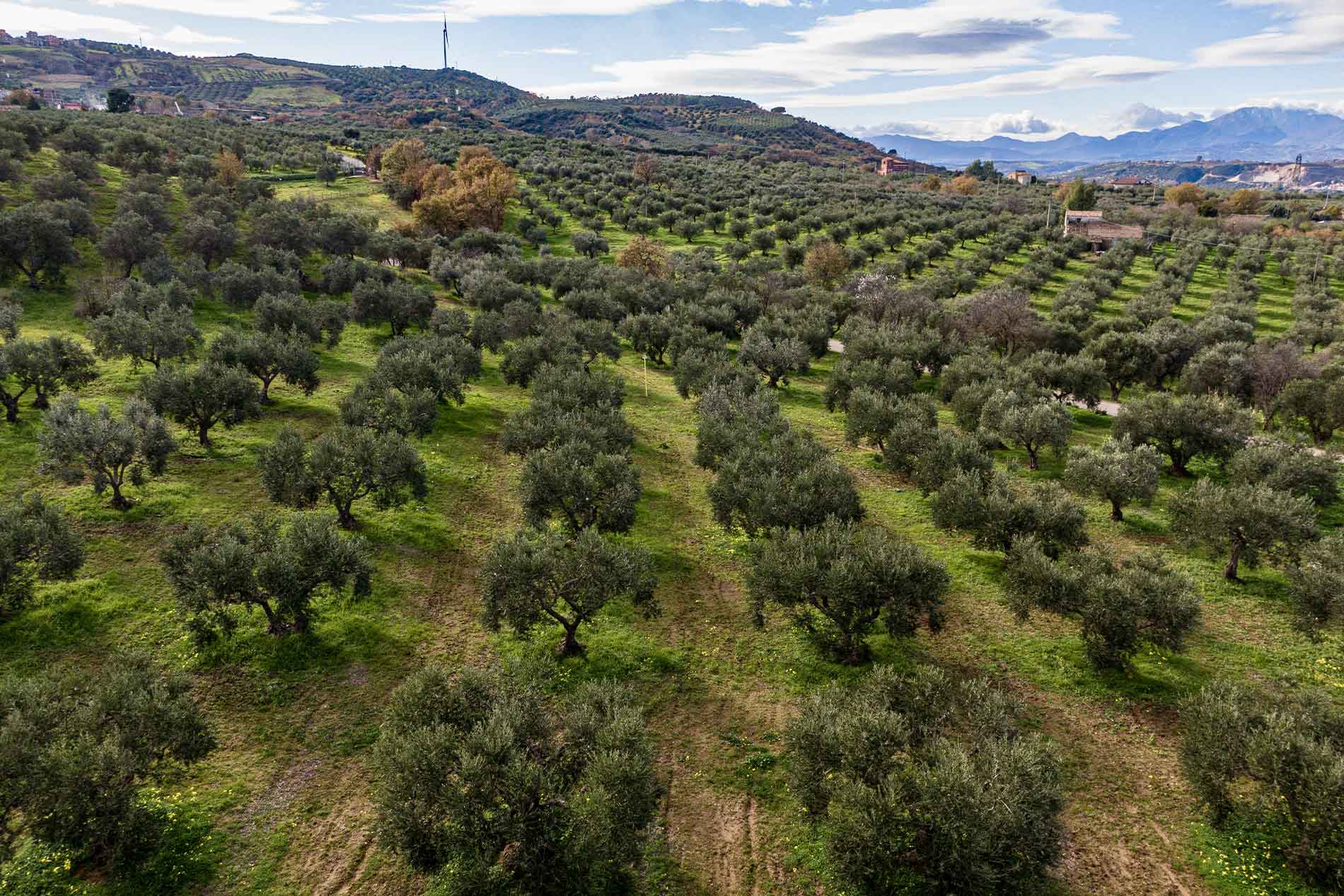 tenuta02